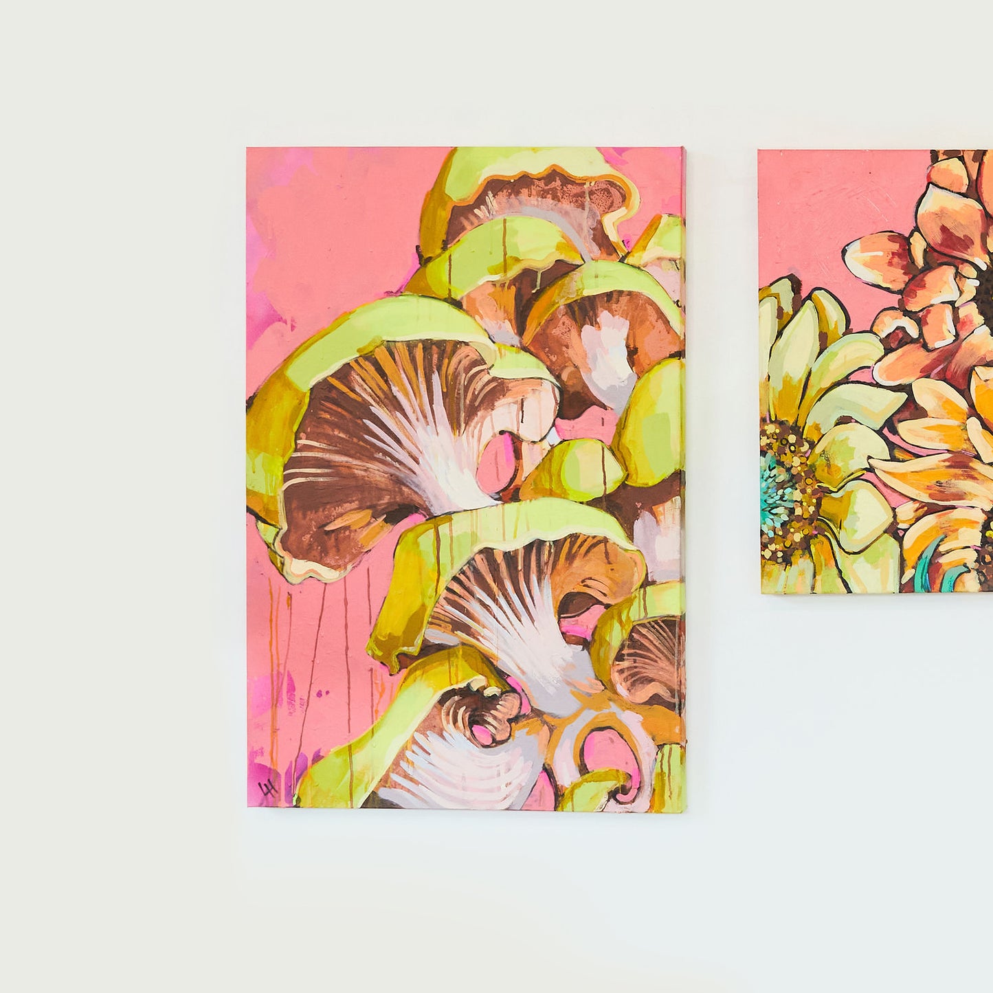 Mushrooms on Pink