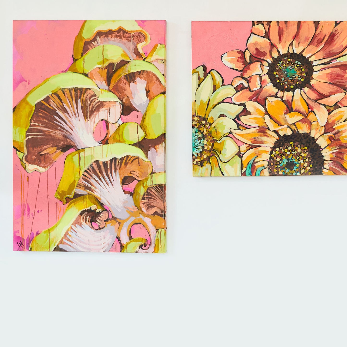 Mushrooms on Pink