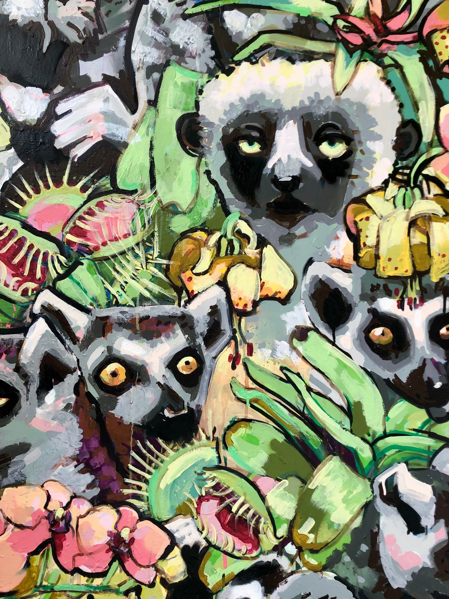 Lemurs