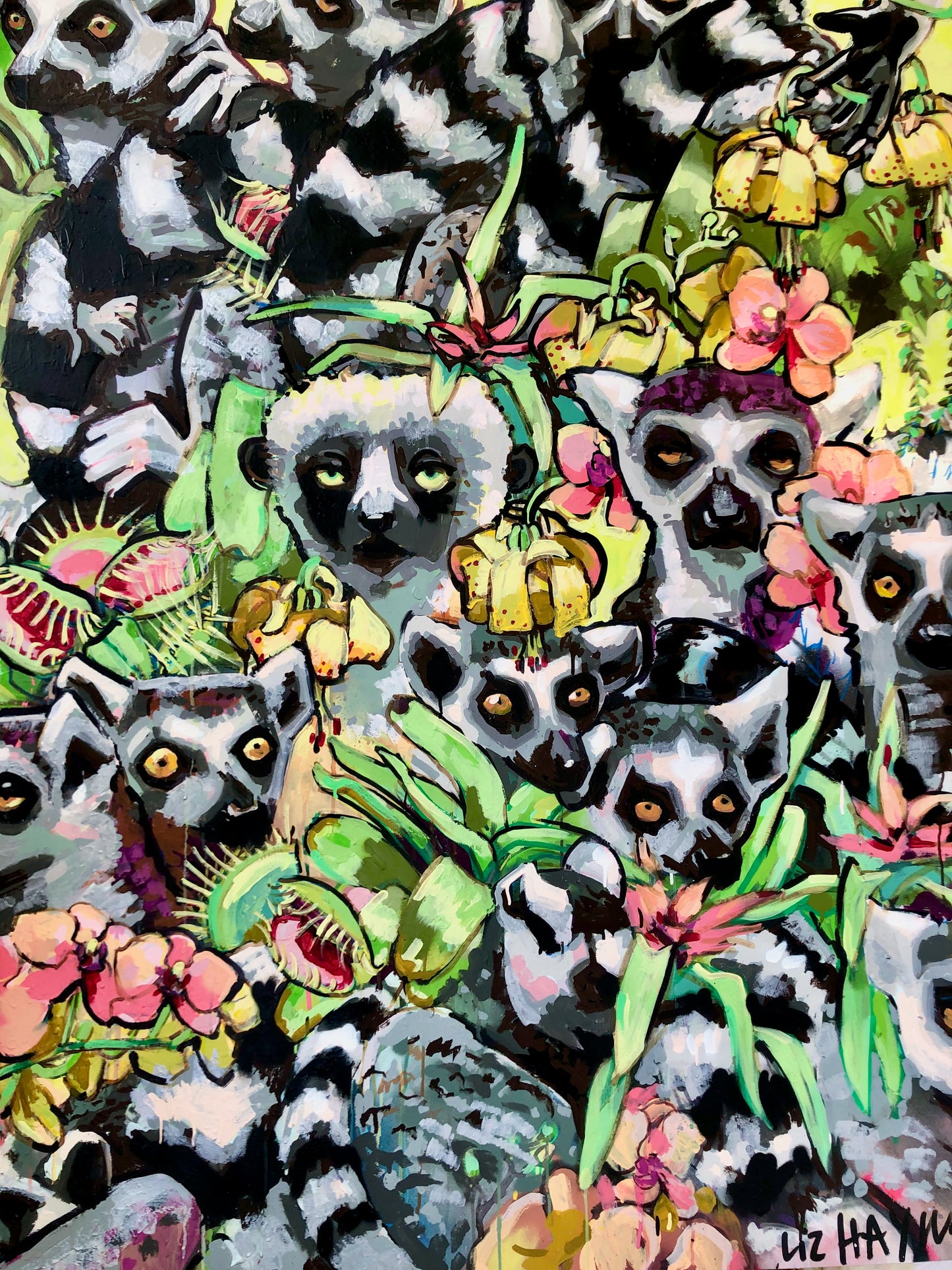 Lemurs