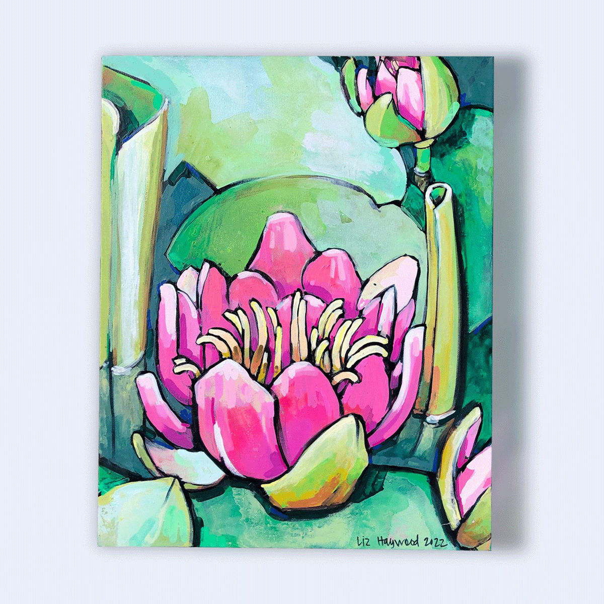 Water Lily—Portrait