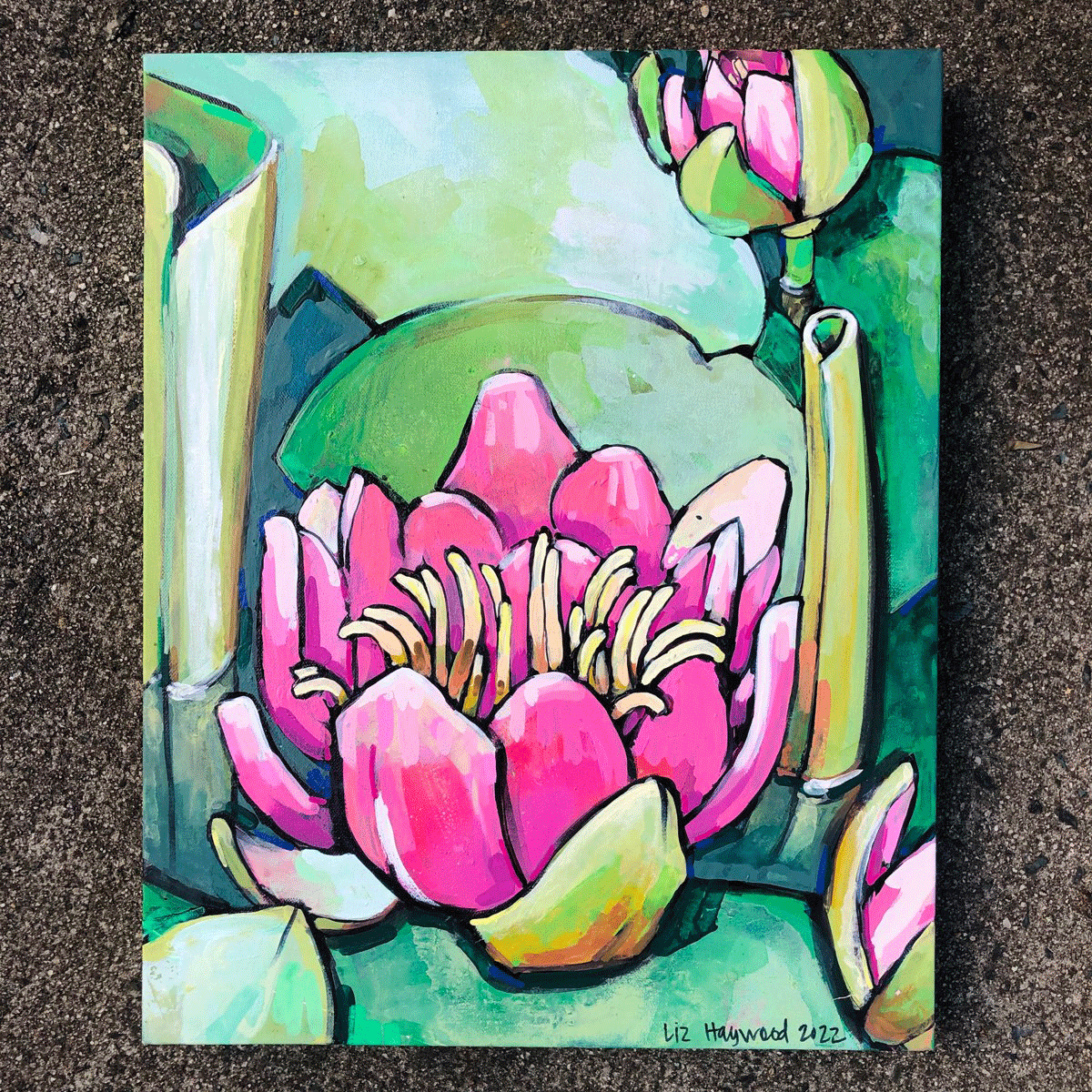 Water Lilly 2