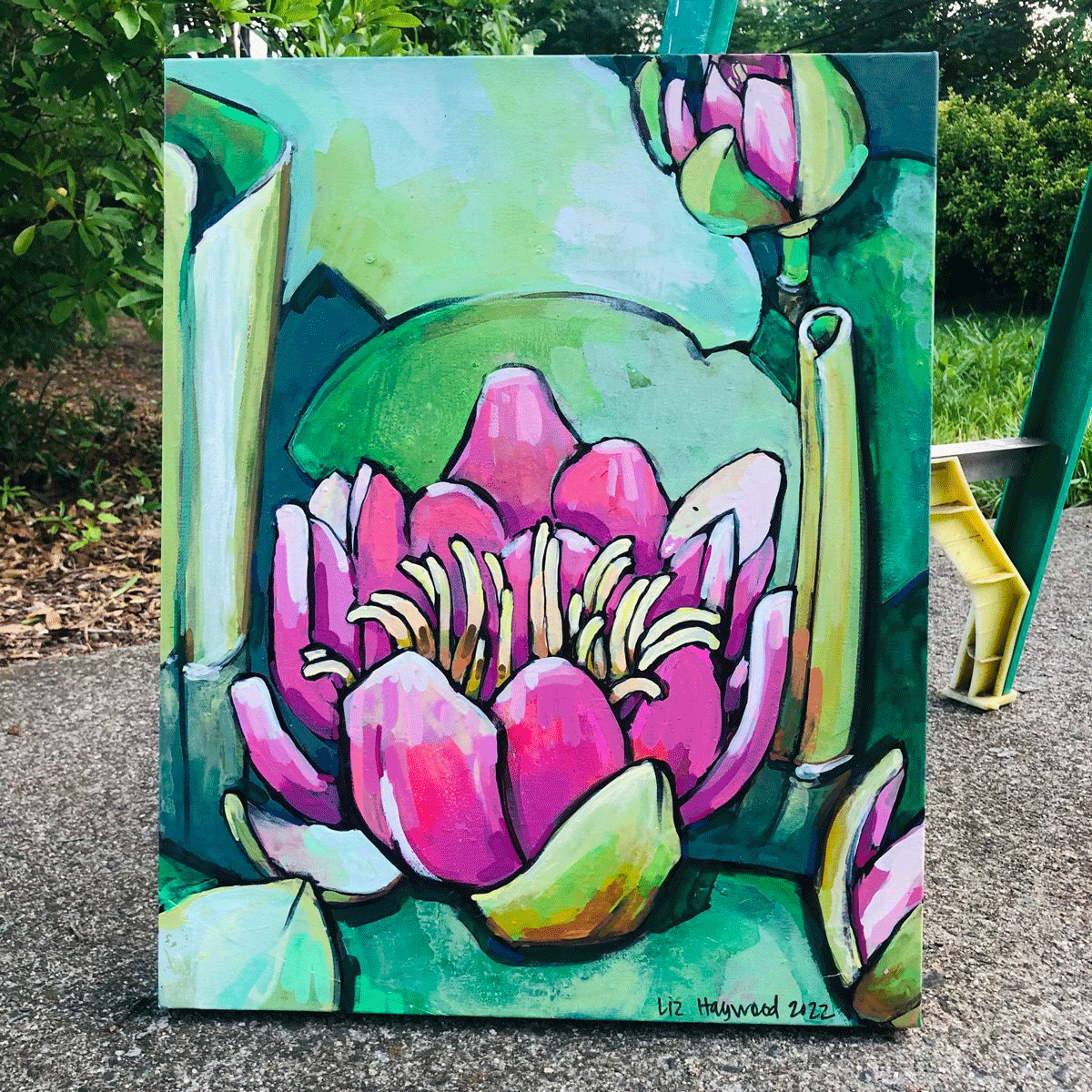 Water Lilly 2