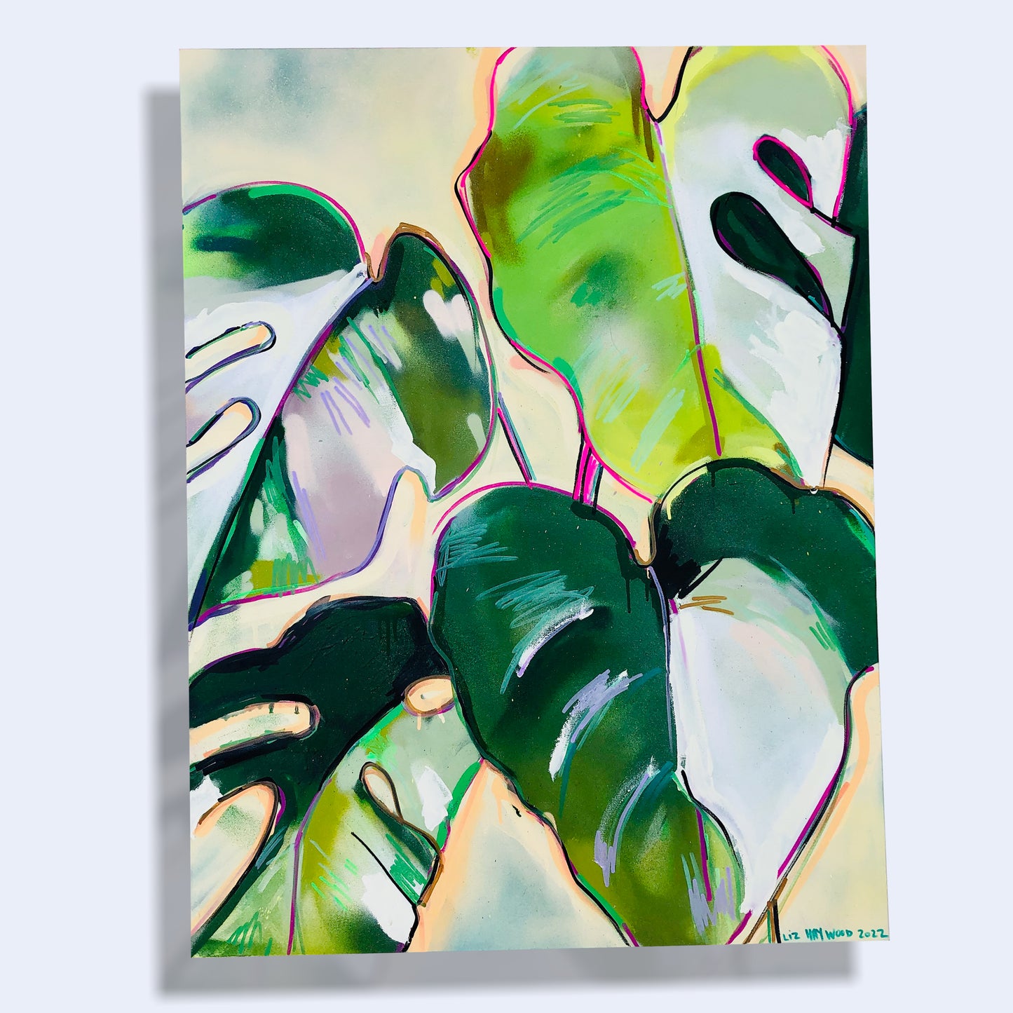 Minimalist Philodendron