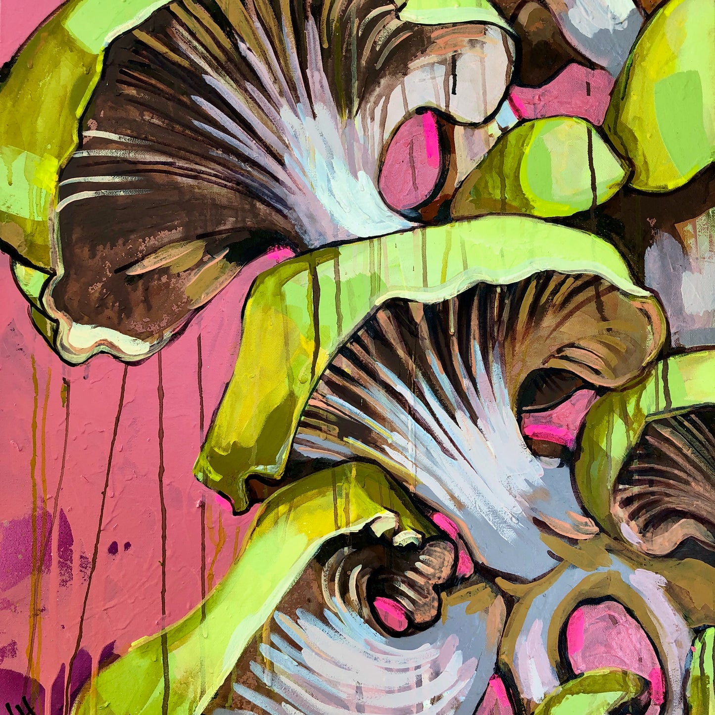 Mushrooms on Pink