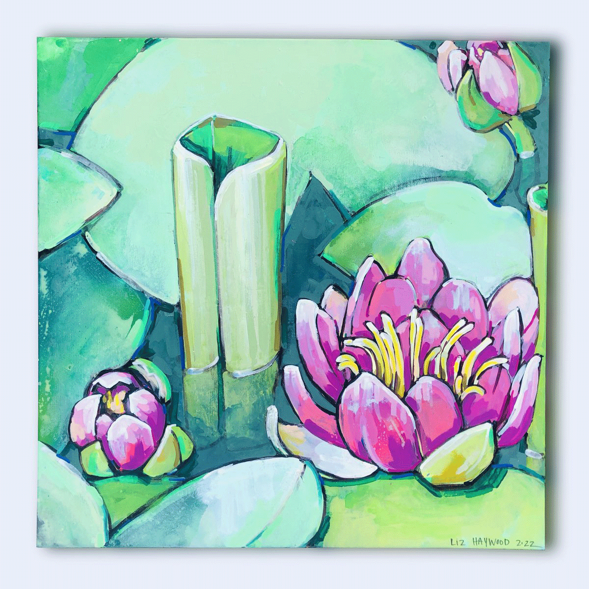 Water Lilly 1