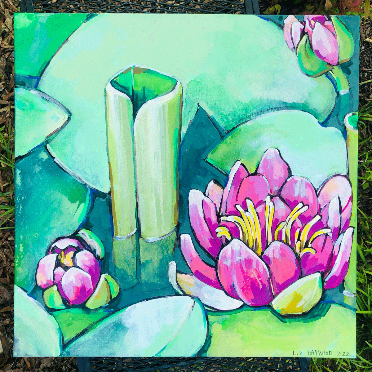 Water Lilly 1