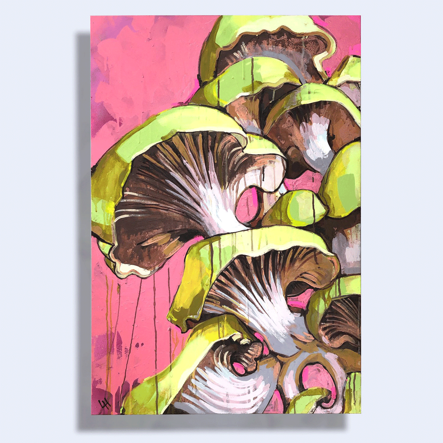 Mushrooms on Pink