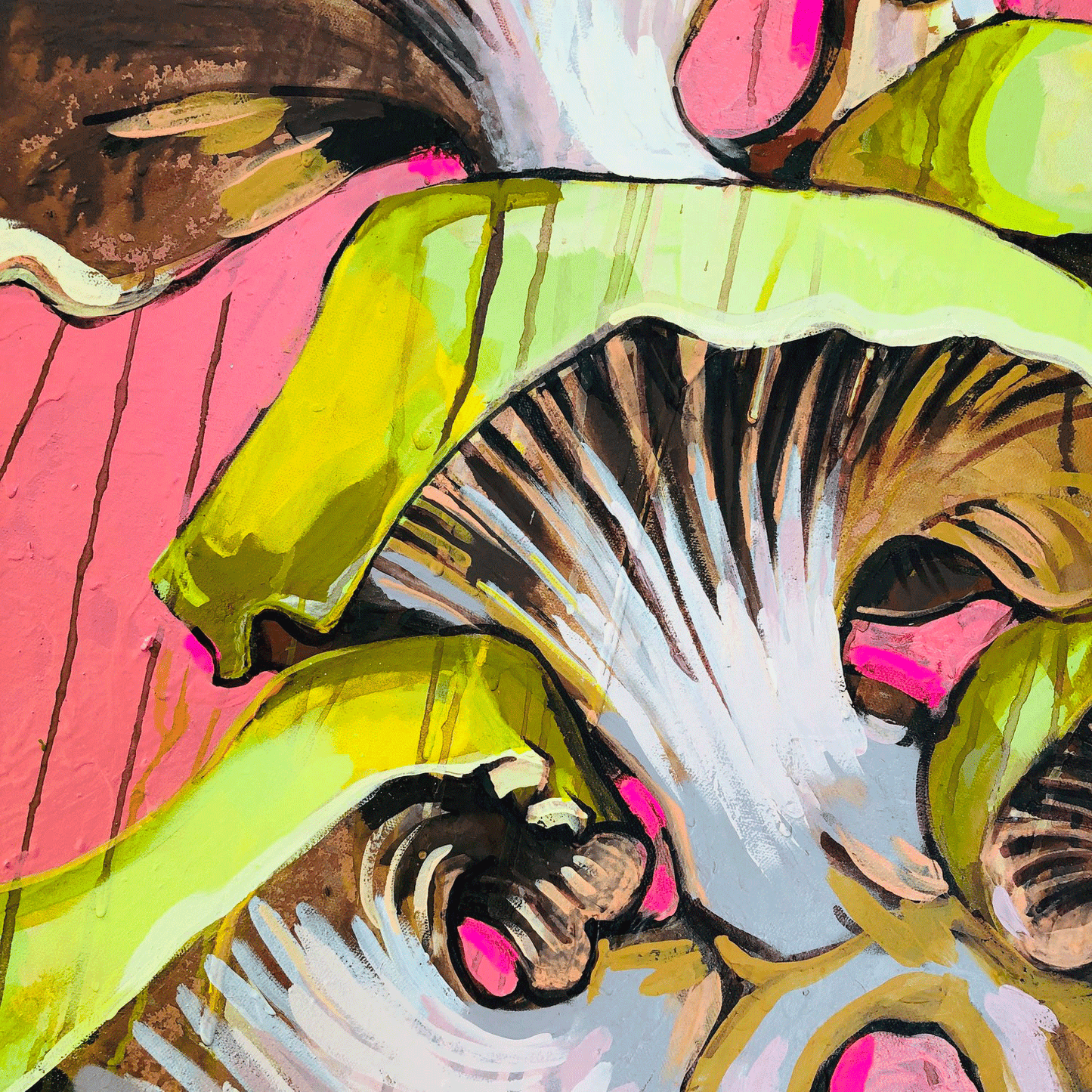 Mushrooms on Pink