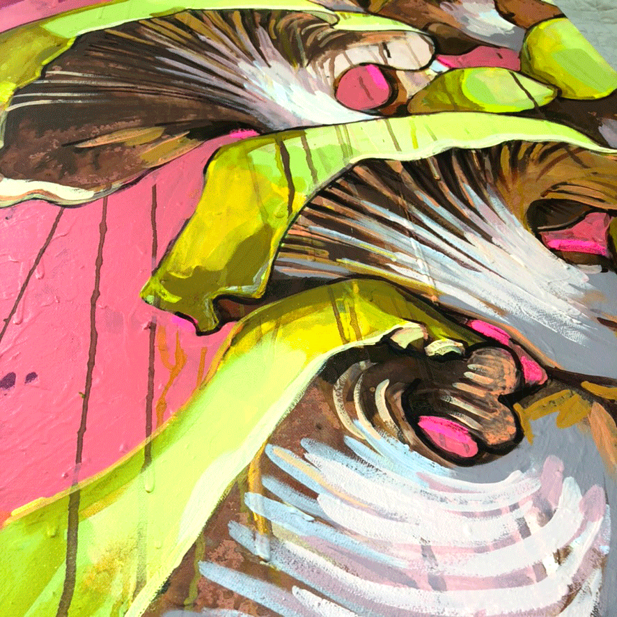 Mushrooms on Pink