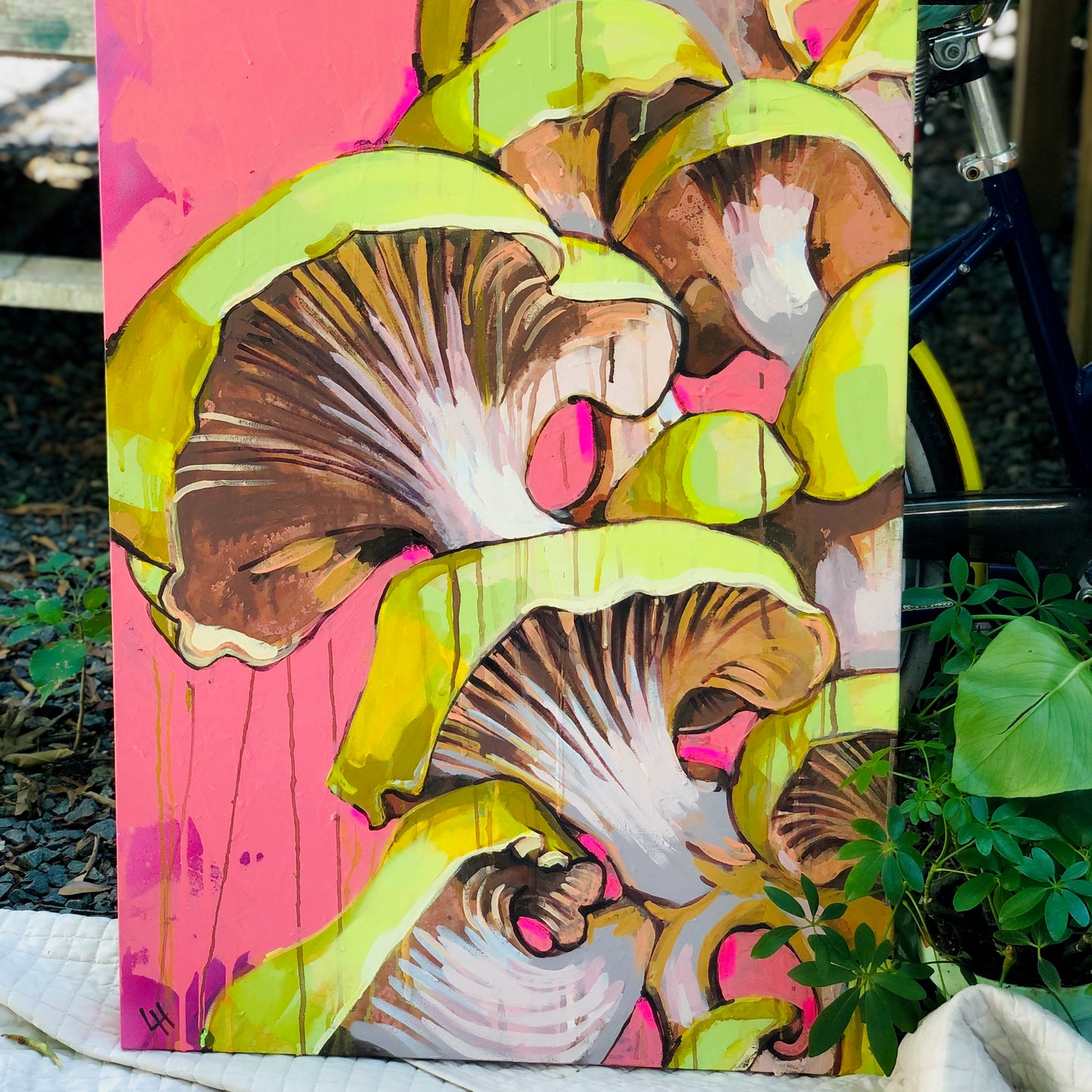 Mushrooms on Pink