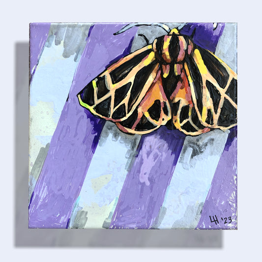 Lil Moth Best Buddy