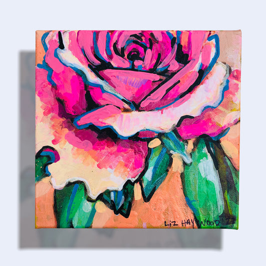 Rose on Tangerine